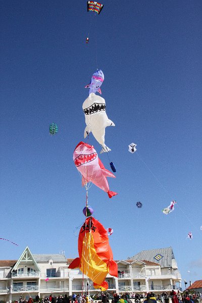 Festival Cerfs Volants Chatelaillon 2010_020.JPG